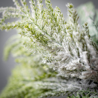 Mixed Cedar Wreath Sullivans Home Decor