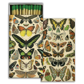 Matches - Butterfly Specimens  HomArt   