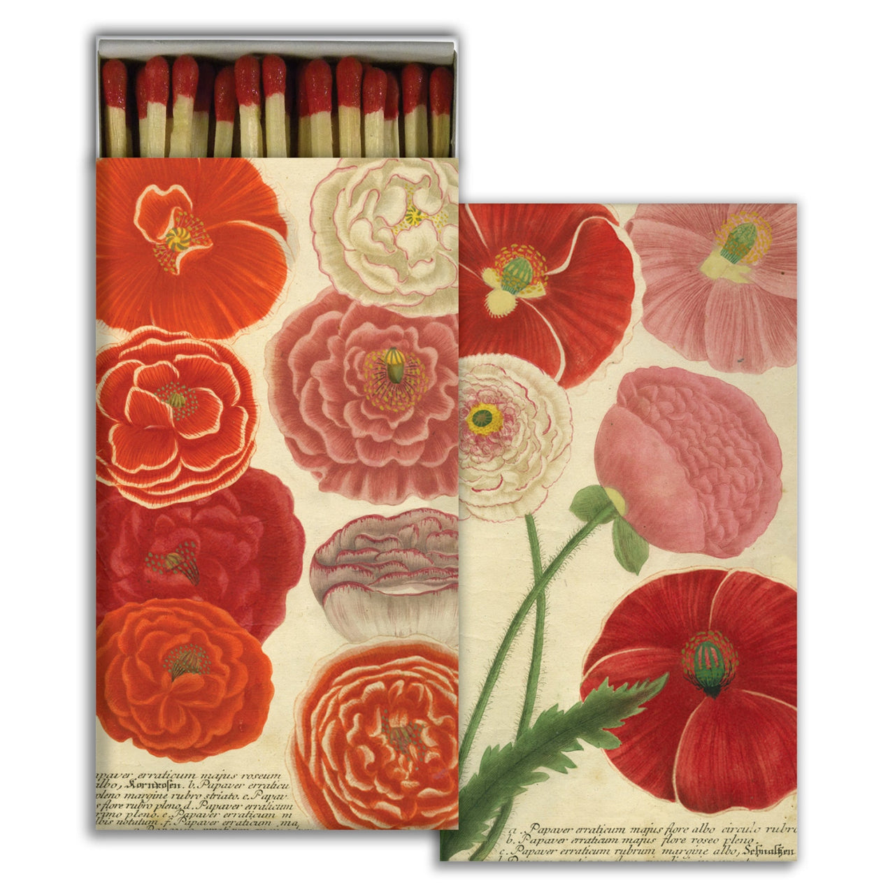 Matches - Poppies  HomArt   