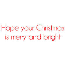 Christmas Flamingo - Boxed Christmas Cards  Caspari   