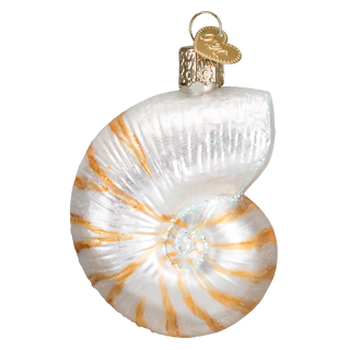 Nautilus Shell Ornament  Old World Christmas   