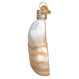 Nautilus Shell Ornament  Old World Christmas   