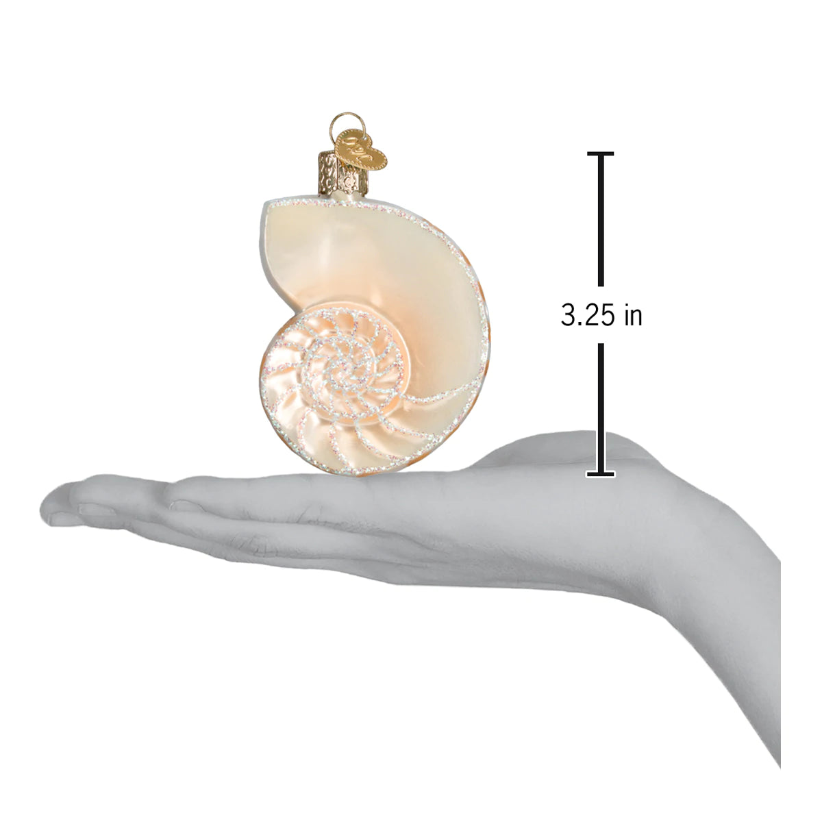 Nautilus Shell Ornament  Old World Christmas   