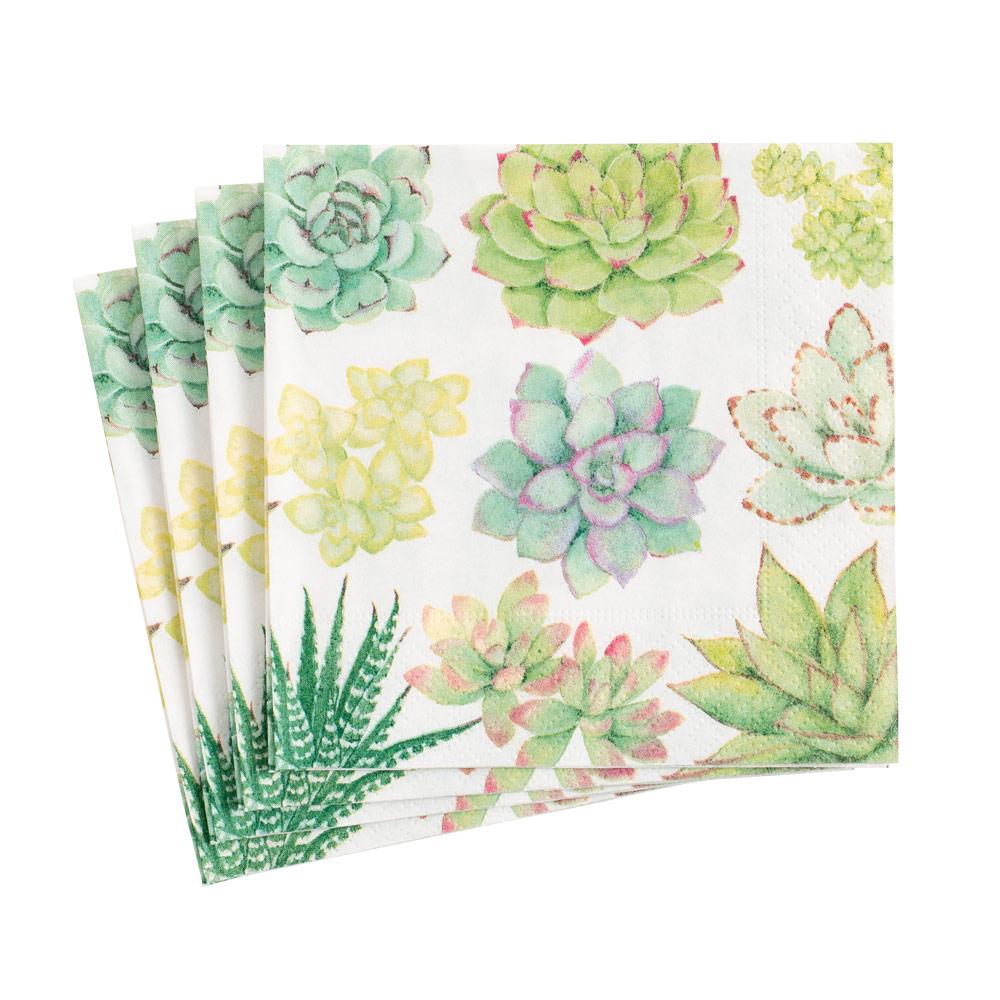 succulent cocktail napkins Caspari Succulents Paper Cocktail Napkins