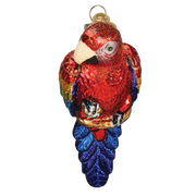 Tropical Parrot Ornament  Old World Christmas   