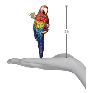 Tropical Parrot Ornament  Old World Christmas   