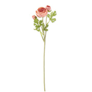 Real Touch 3 Head Ranunculus Stem - 23"  K&K Coral  