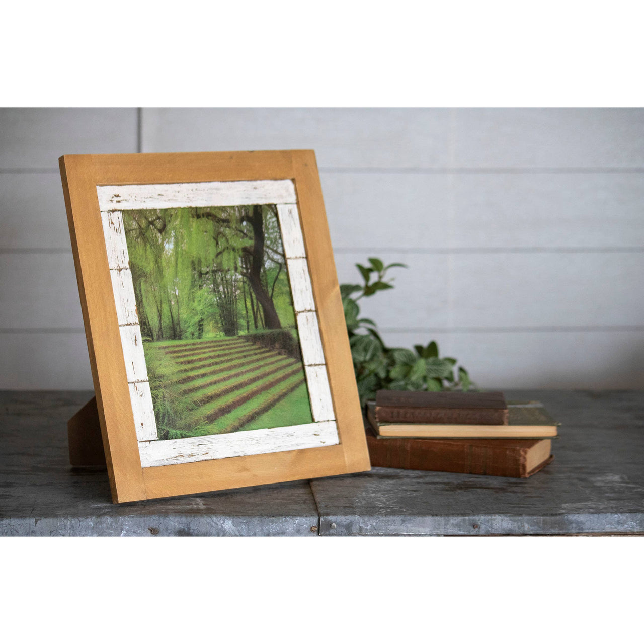 8X10 Henry Photo Frame  Foreside Home & Garden   