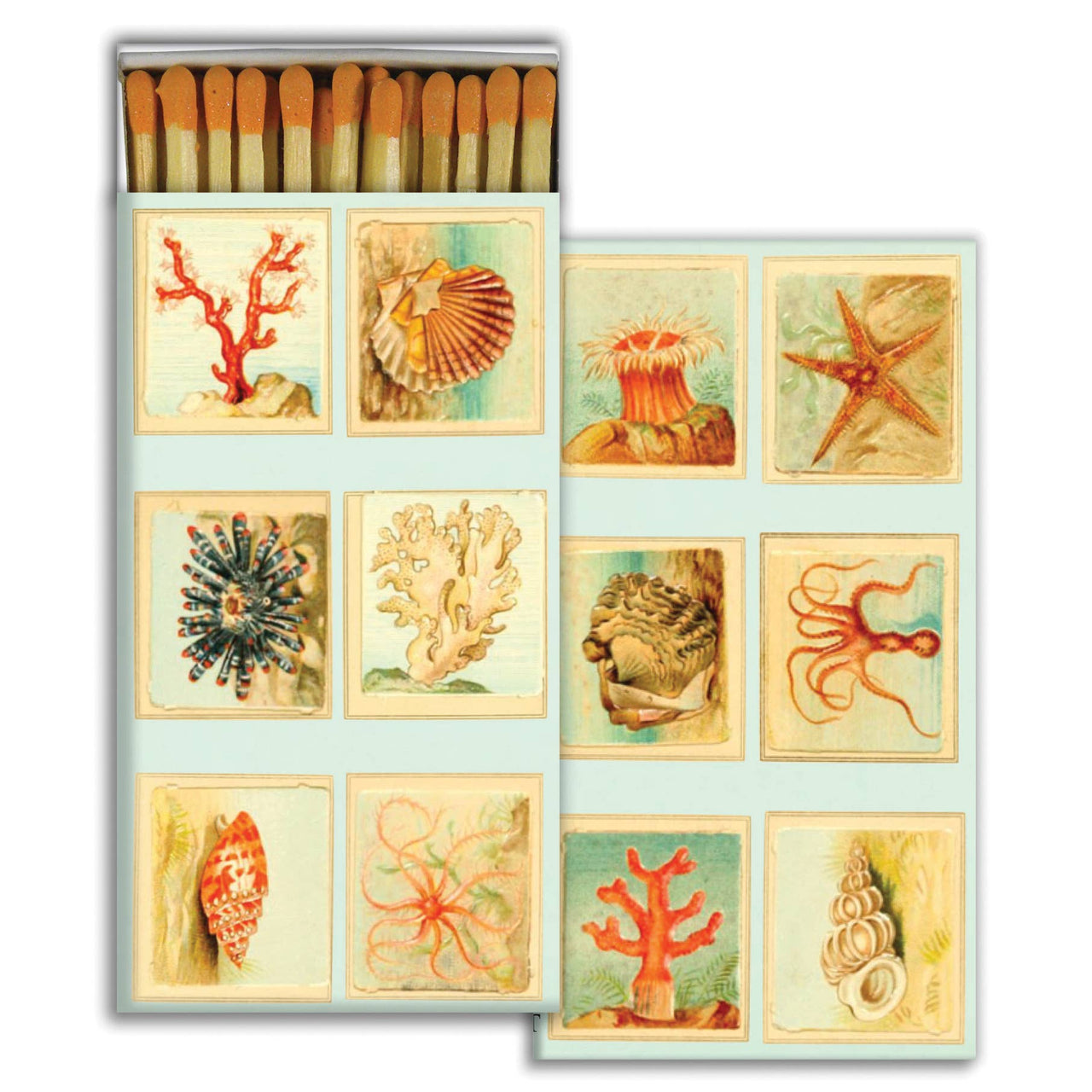 Matches - Mollusks, Coral, Seastars  HomArt   