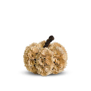 Shaved Wood Cream Pumpkin 9.5"  K&K   