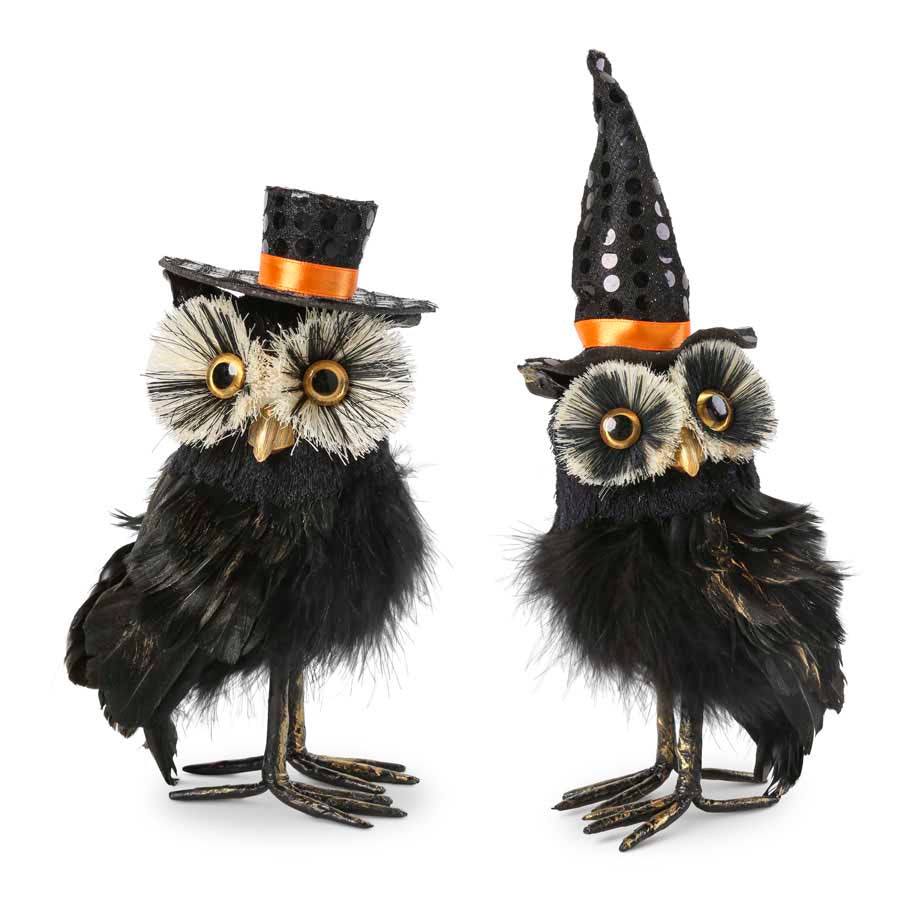 Assorted Black Feather Owls w/Hats  K&K   