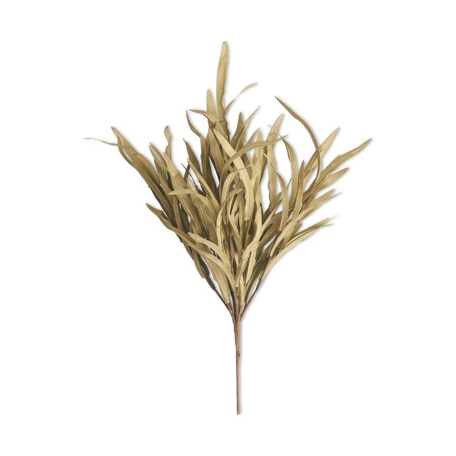 Cream Ava Grass Bush Stem  K&K Green  