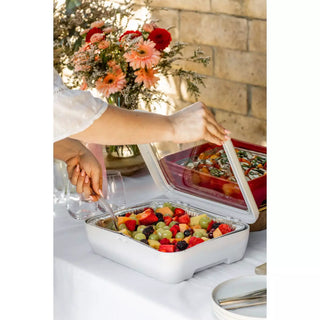 Fancy Panz® Premium  Fancy Panz   