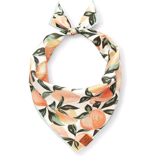 Peaches and Cream Dog Bandana  The Foggy Dog   