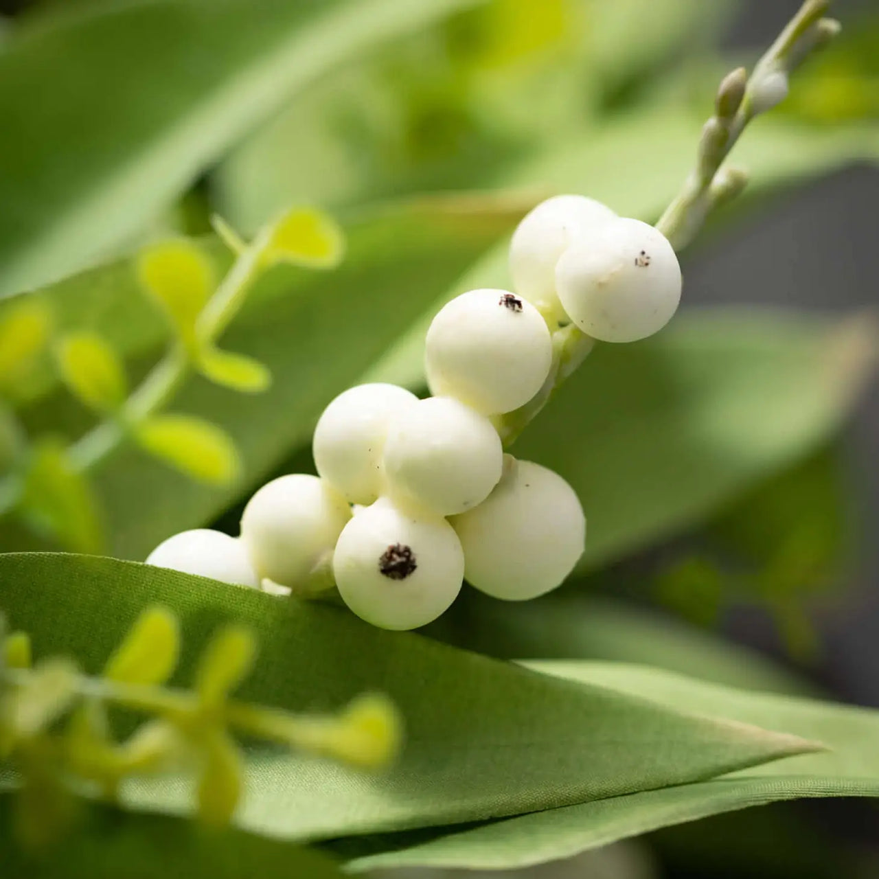 Pearl White Snowberry Wreath  Sullivans   