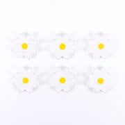 Ledgie Shapes - Daisy + Badams