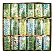 Christmas Trees With Lights - Christmas Crackers  Caspari   