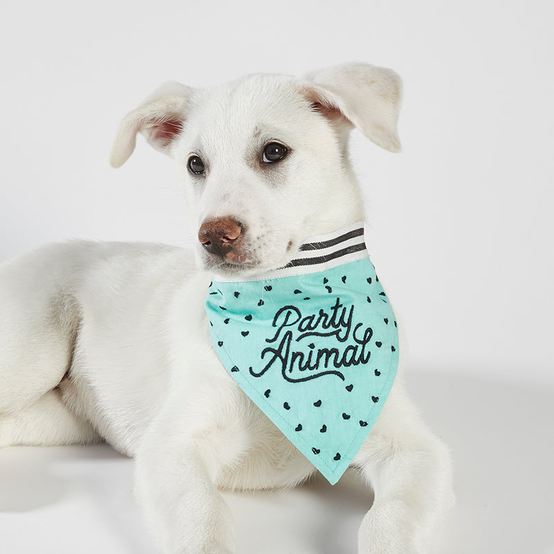 Dog bandana brands sale