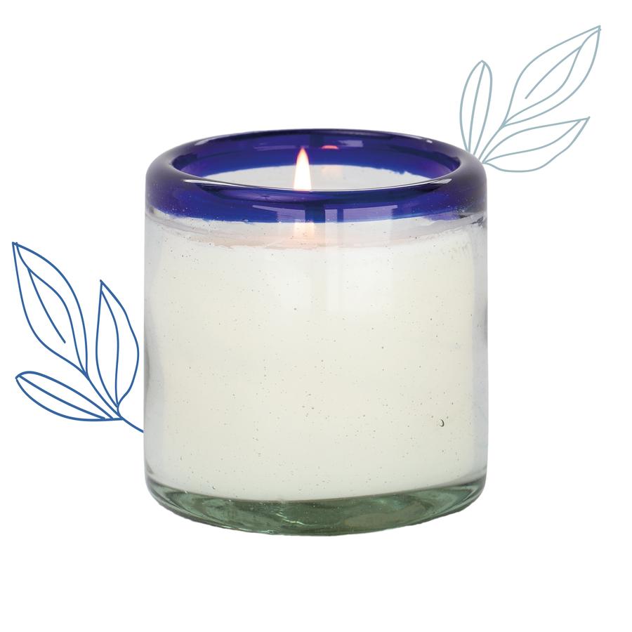 La Playa - Salted Blue Agave - 9 oz Candle  Paddywax   