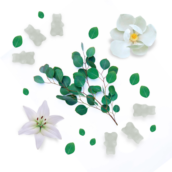 Magnolia Eucalyptus Wax Melts  Happy Wax   