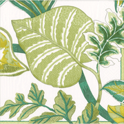 Luncheon Napkin - Florida-Ivory  Caspari   