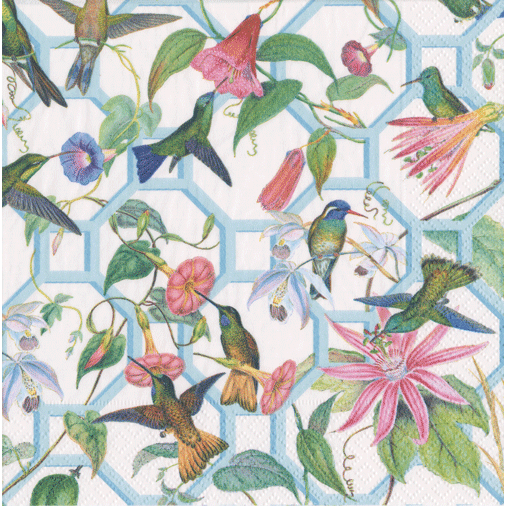 Cocktail Napkin - Hummingbird Trellis  Caspari   