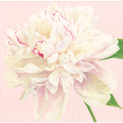 Cocktail Napkin - Duchess Peonies Blush  Caspari   