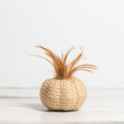 4" Cream Crochet Pumpkin w/ Wood Stem  K&K   