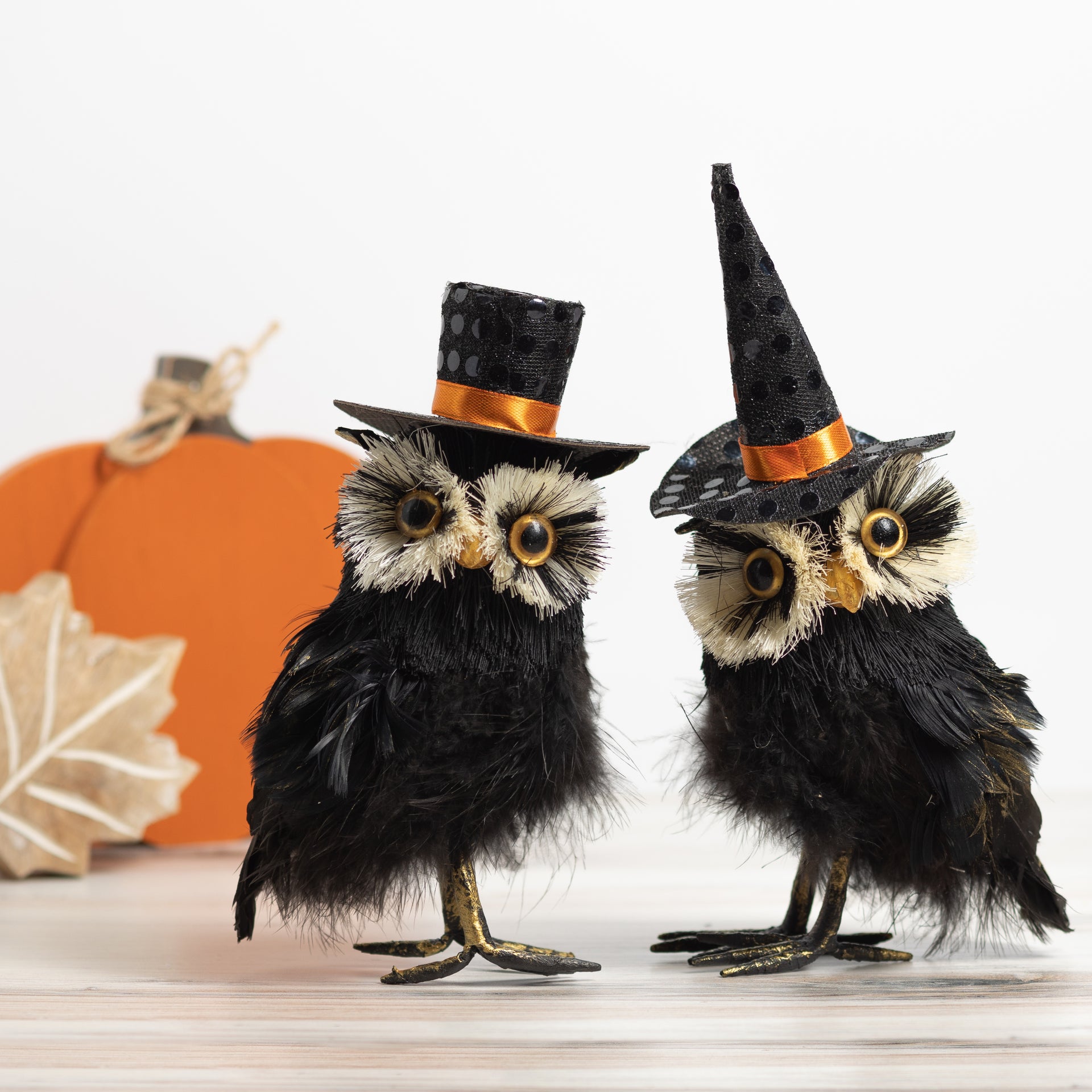 Assorted Black Feather Owls w/Hats  K&K   