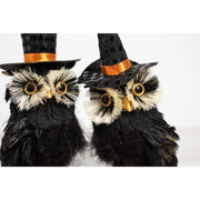 Assorted Black Feather Owls w/Hats  K&K   