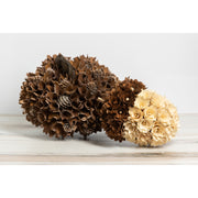 Shaved Wood Acorn  K&K   