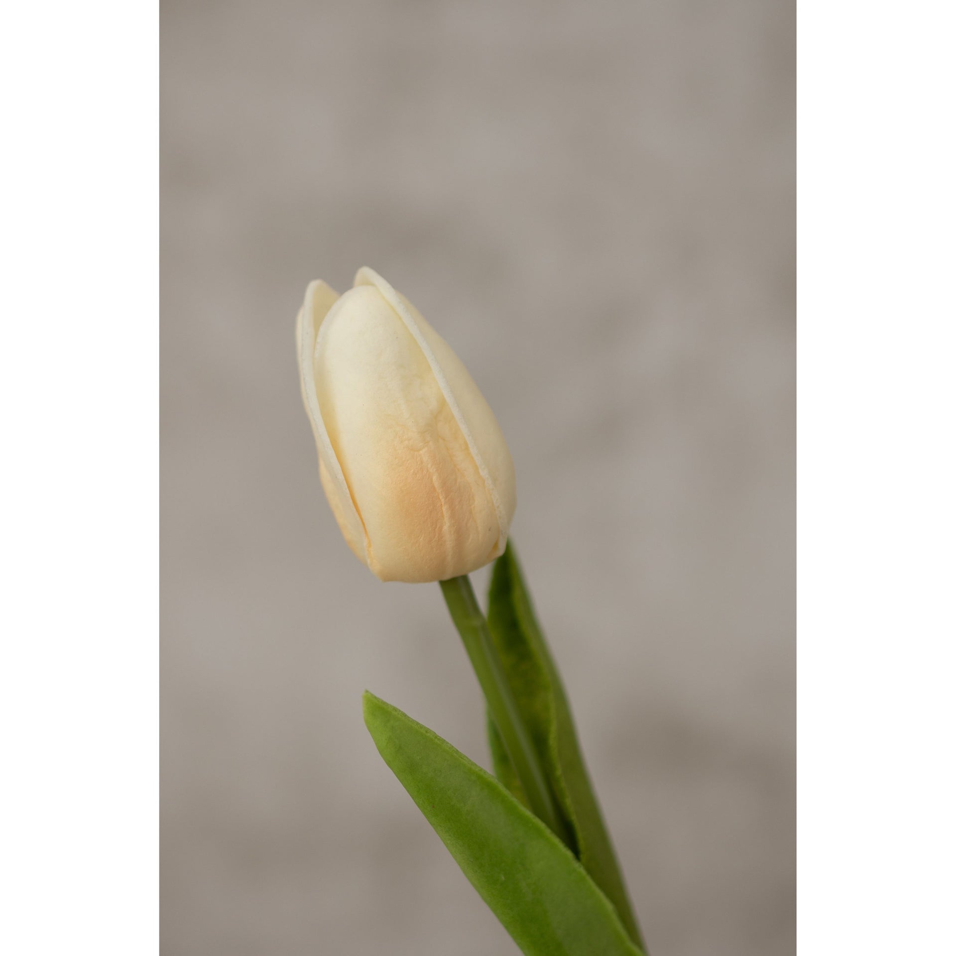 Real Touch Tulip Artificial Flora K&K Peach  