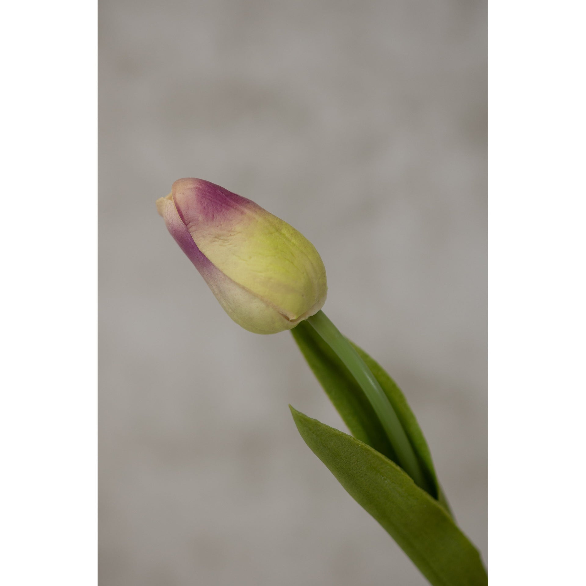Real Touch Tulip Artificial Flora K&K Green Purple  