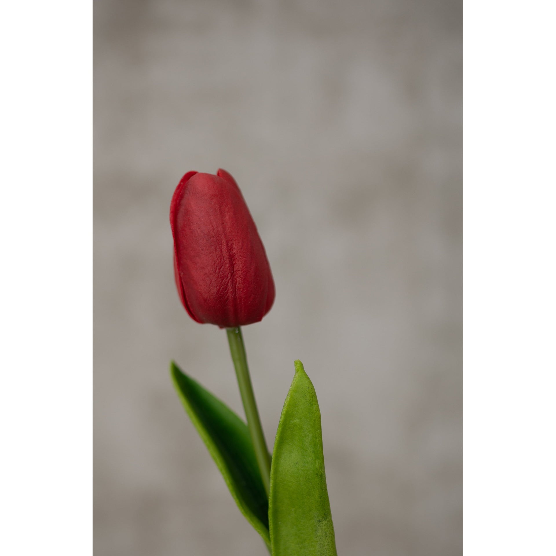 Real Touch Tulip Artificial Flora K&K Red  