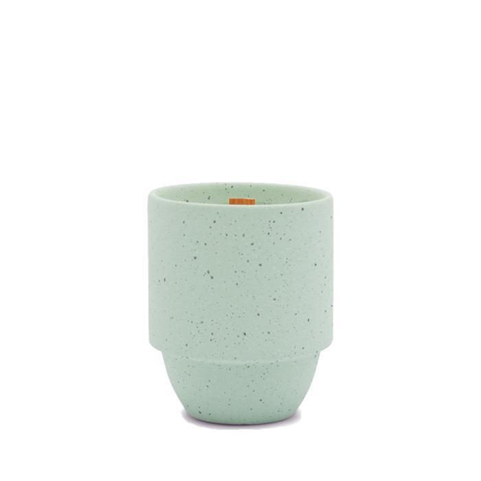 Parks - Olympic - Pacific Moss & Mist  Paddywax   
