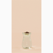 Flora Diffuser - Willow  Paddywax   