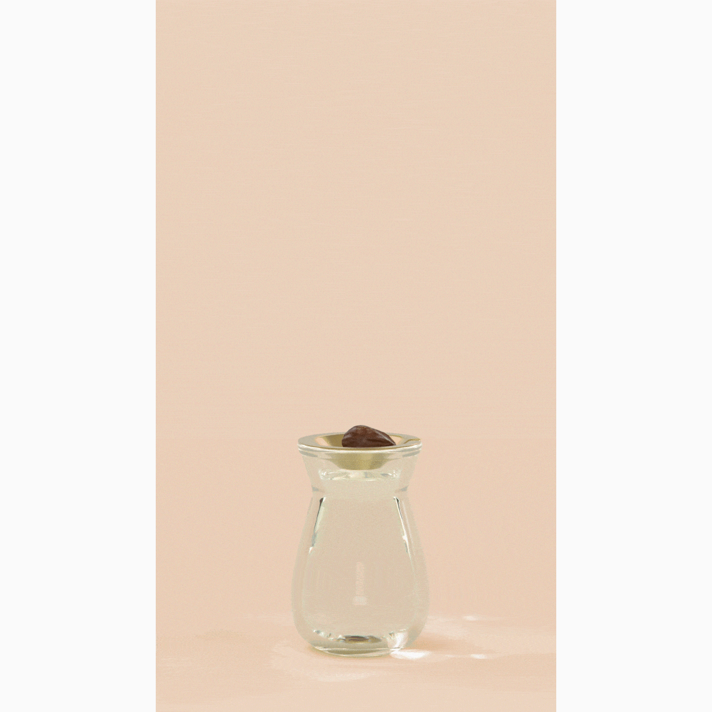 Flora Diffuser - Willow  Paddywax   
