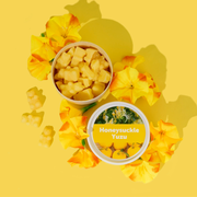 Honeysuckle Yuzu Classic Tin  Happy Wax   