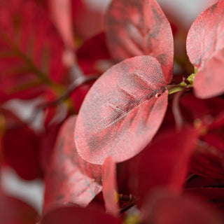 Eucalyptus Pick Sullivans Home Decor Red