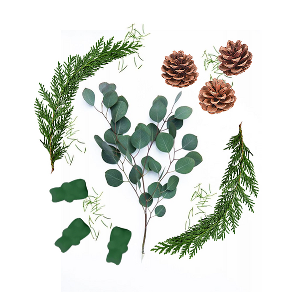 Eucalyptus Balsam Wax Melts  Happy Wax   