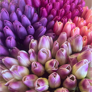 Real Touch Tulip Artificial Flora K&K   